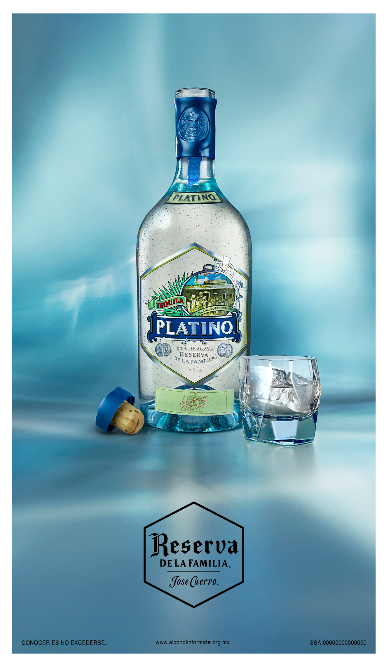 Platino_logo_ok